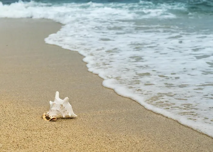 Familial Proche Et Forêt Avec Parking Privé - Fr-1-652-4 Appartamento *